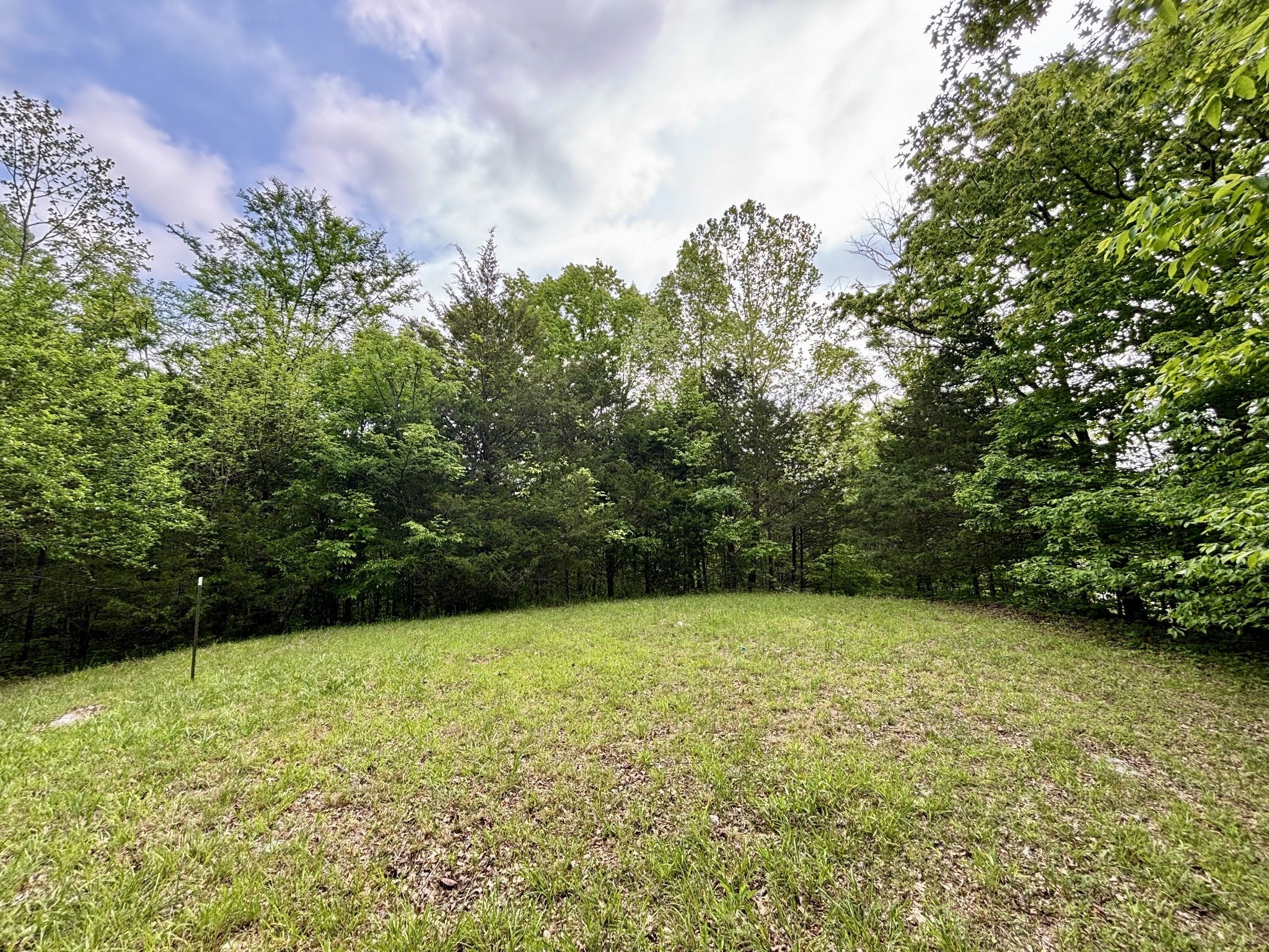 Photo of Listing #2820833