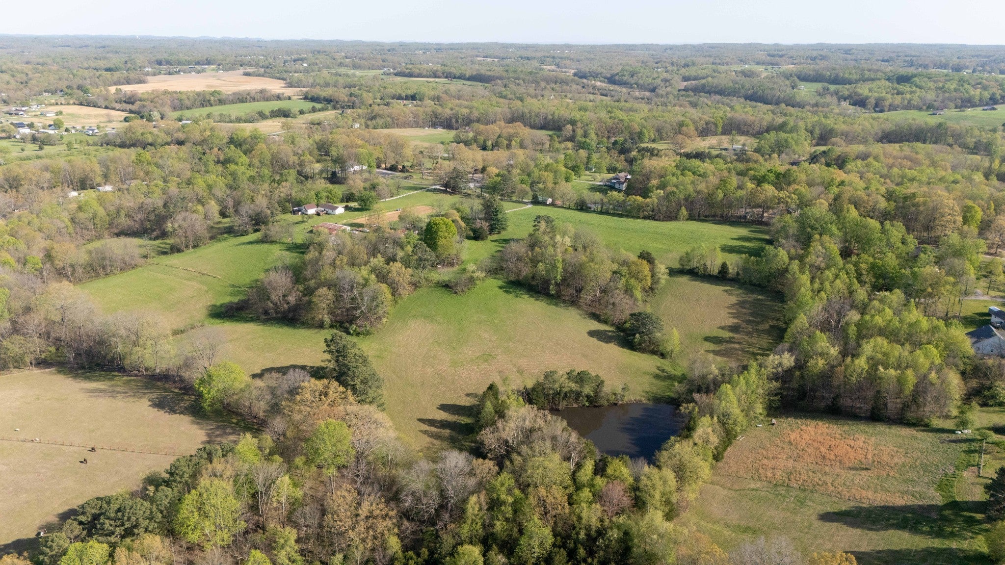 Photo of Listing #2820854
