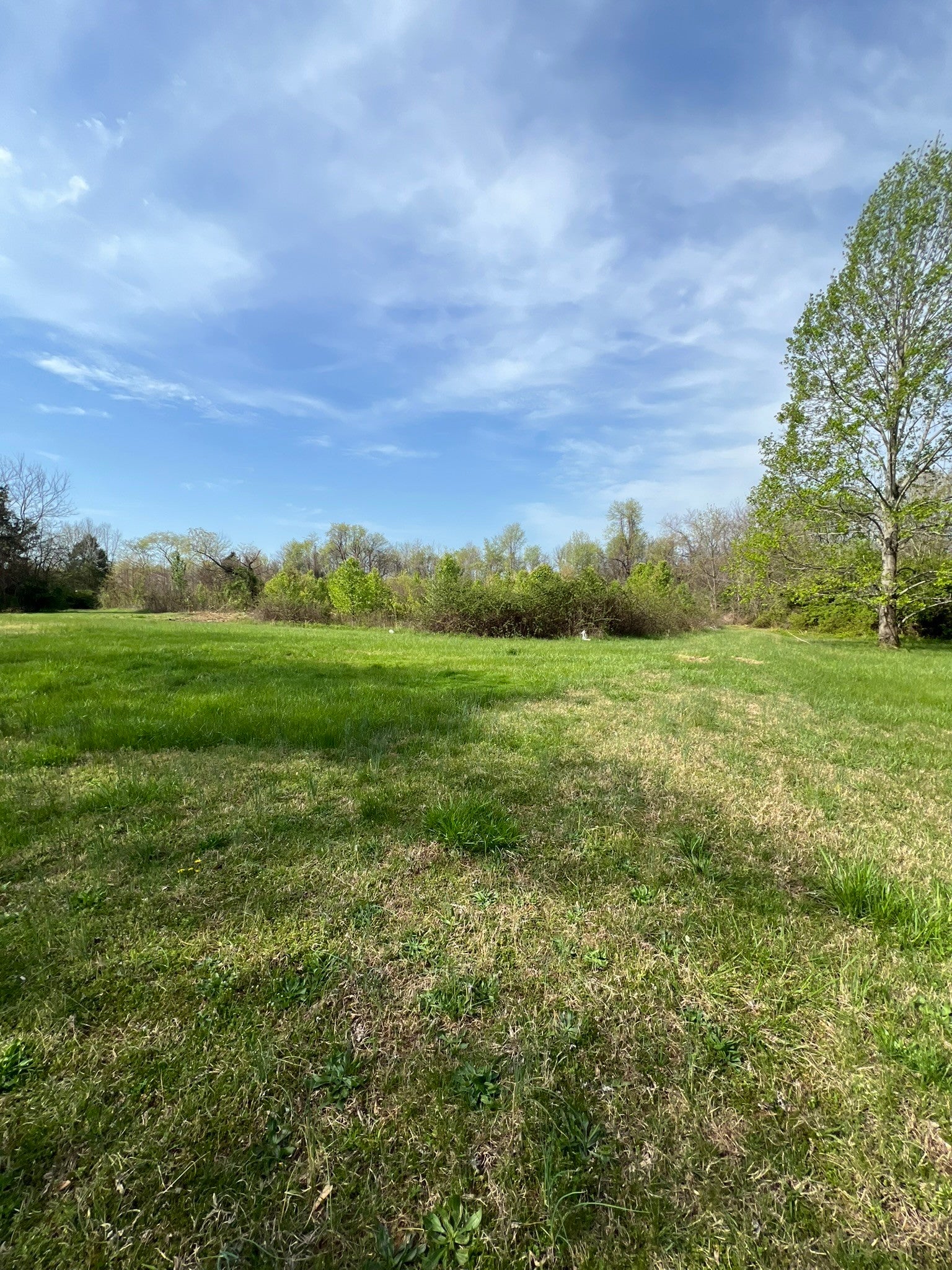 Photo of Listing #2820989