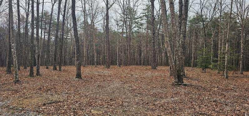 Photo of Listing #2821097