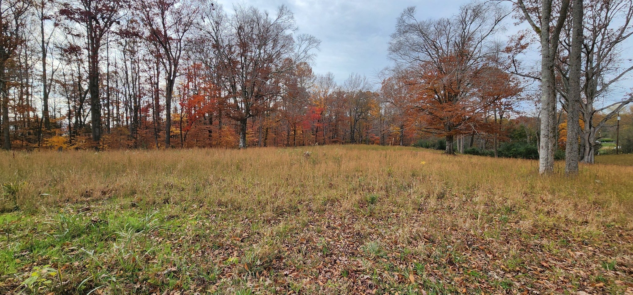 Photo of Listing #2821191