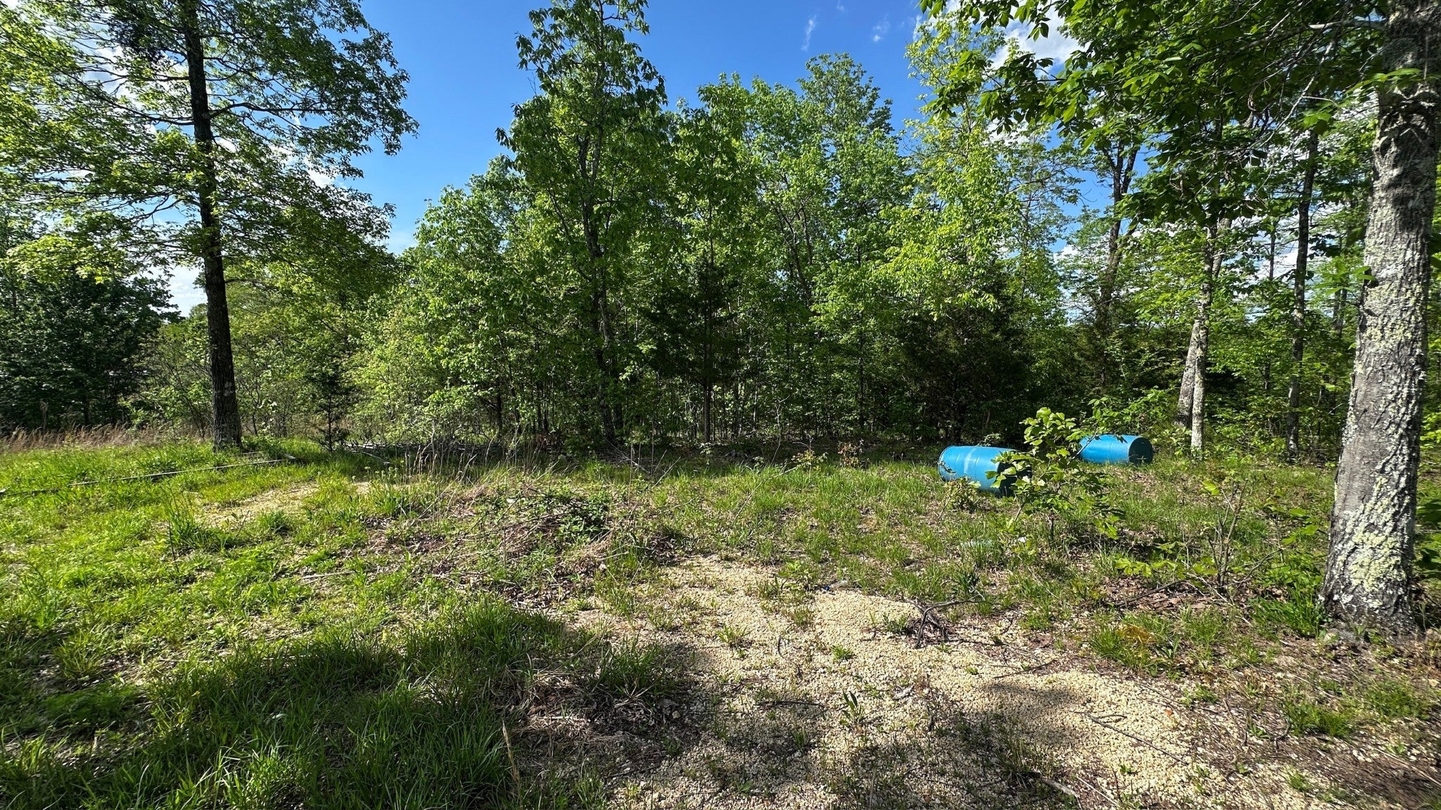 Photo of Listing #2821325