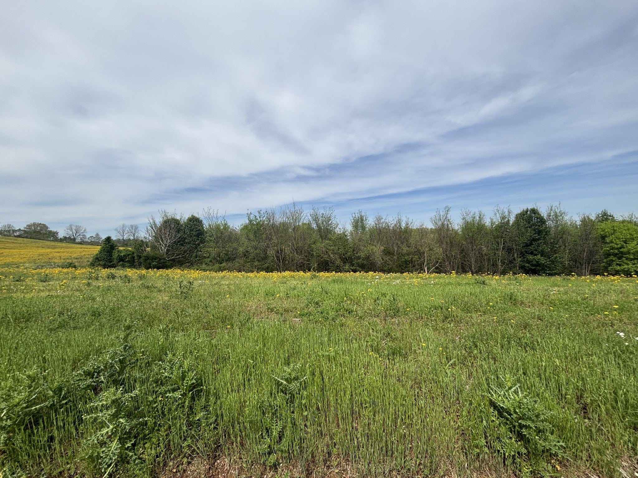 Photo of Listing #2821574