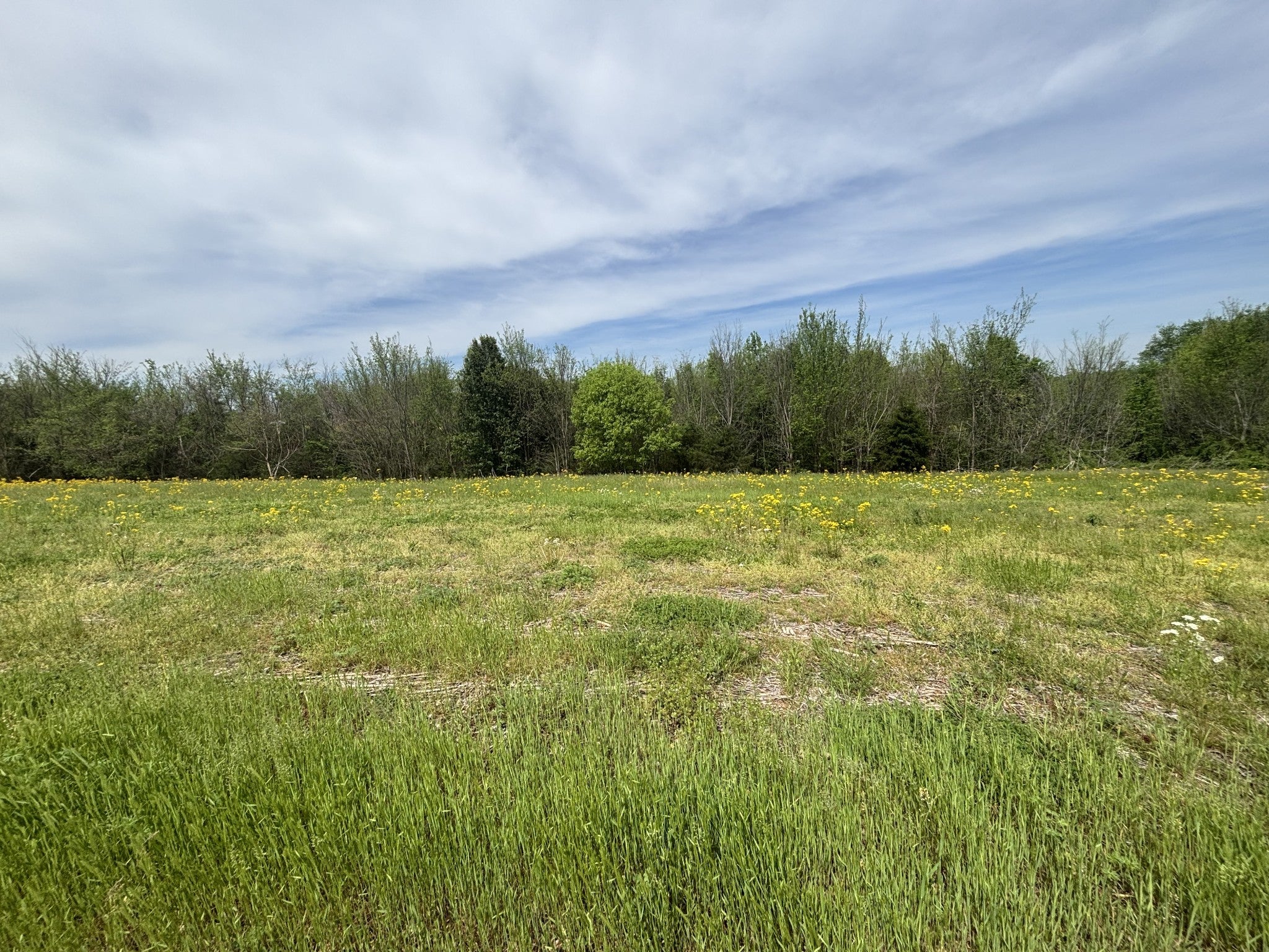 Photo of Listing #2821576