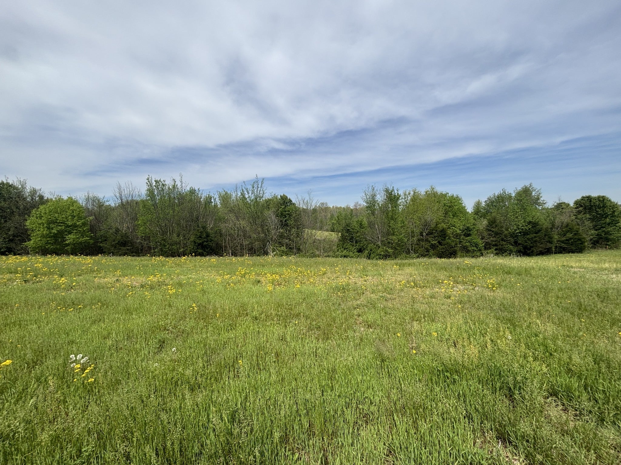Photo of Listing #2821579