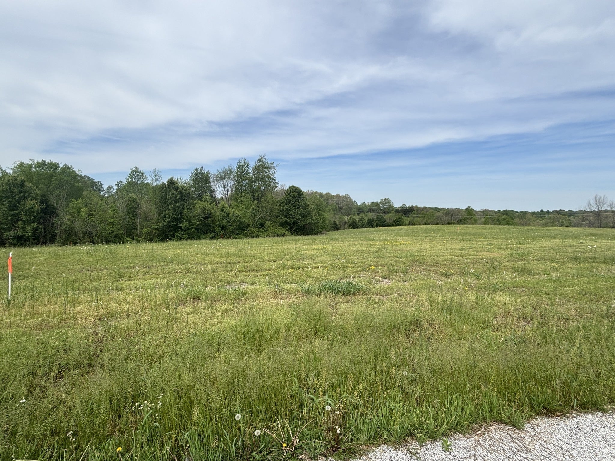 Photo of Listing #2821582