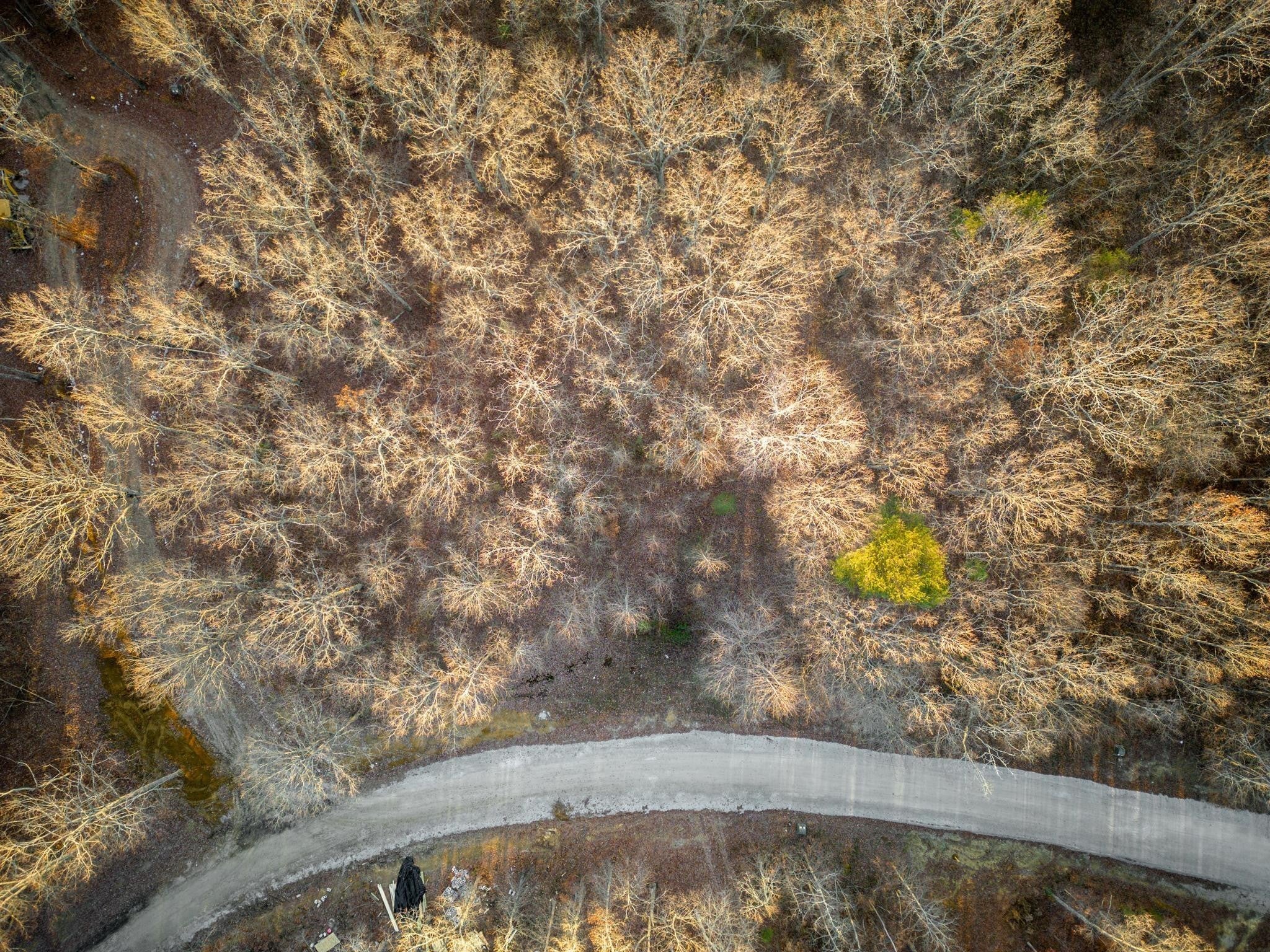 Photo of Listing #2822138