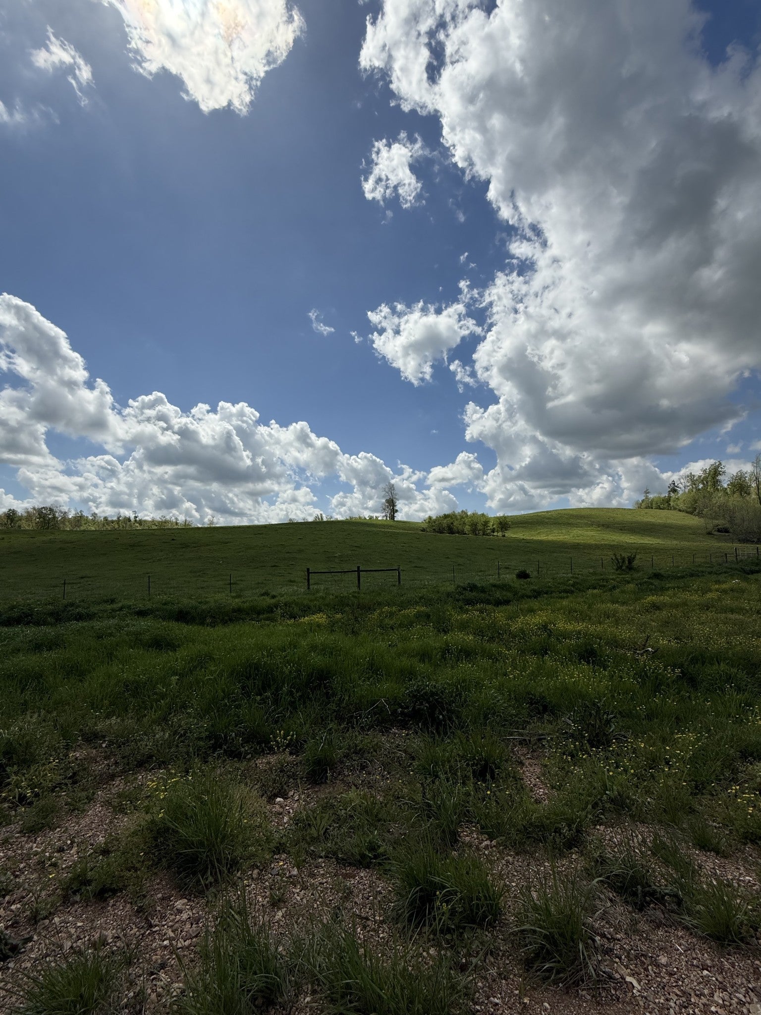 Photo of Listing #2822152