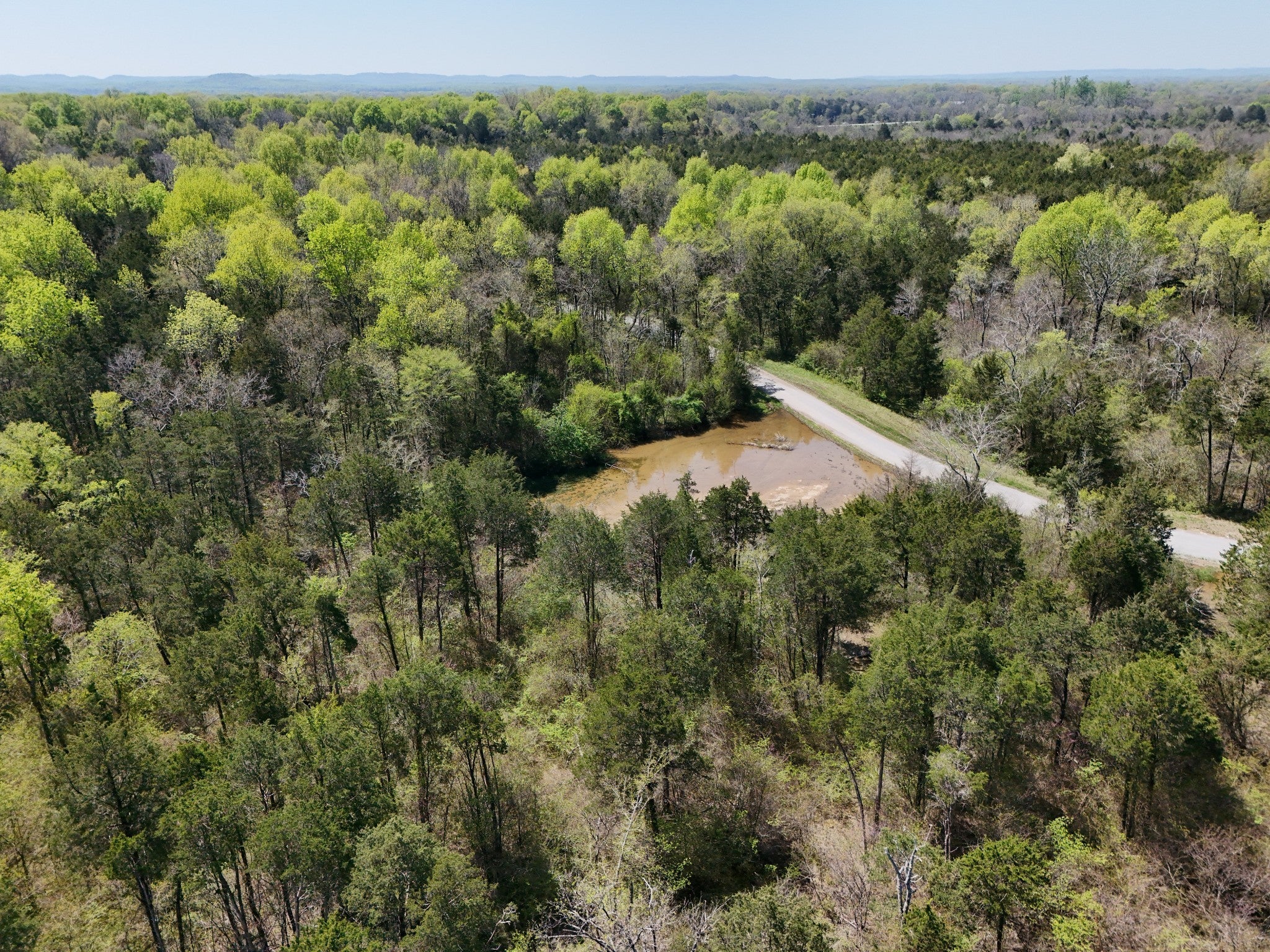 Photo of Listing #2822644