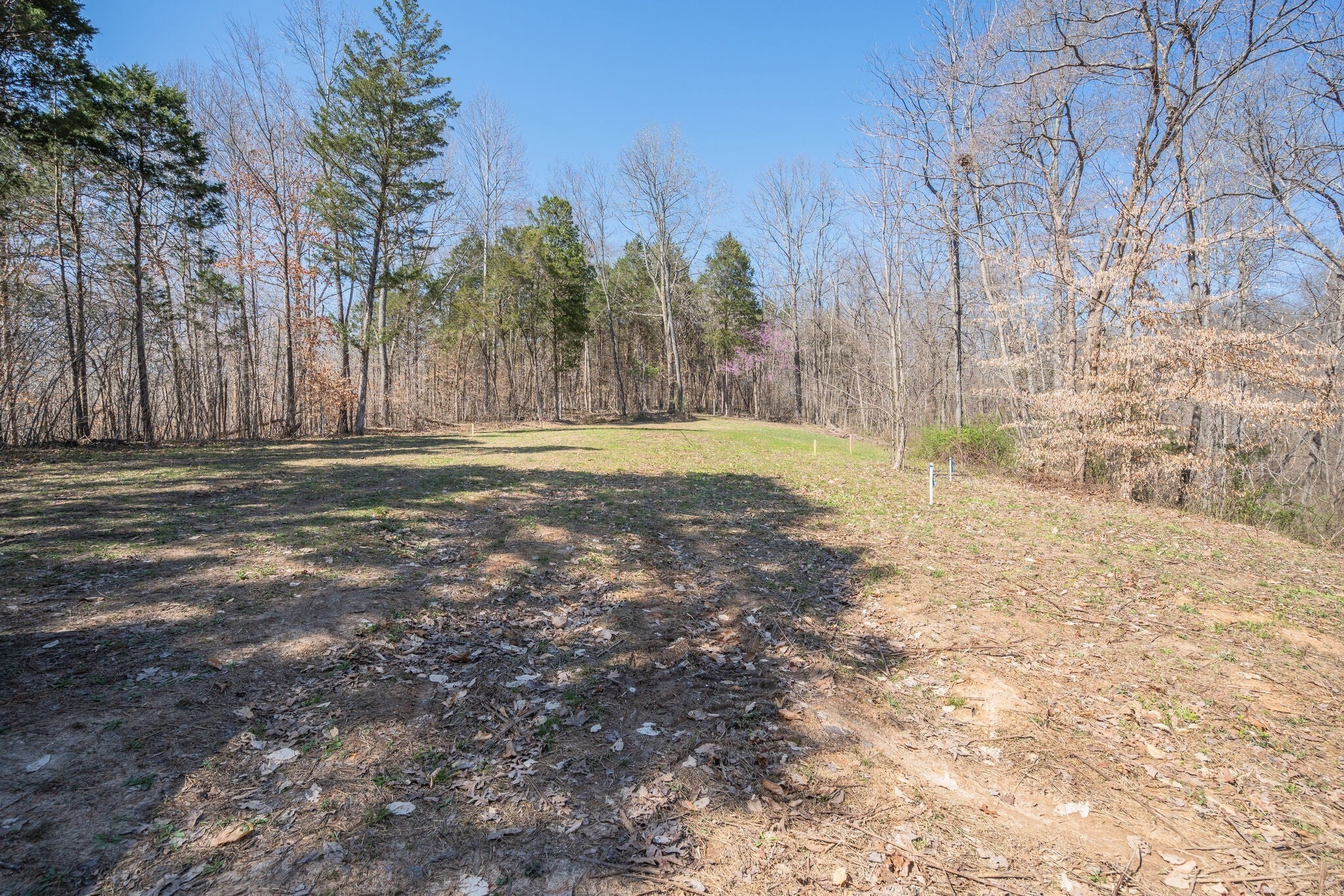 Photo of Listing #2823000