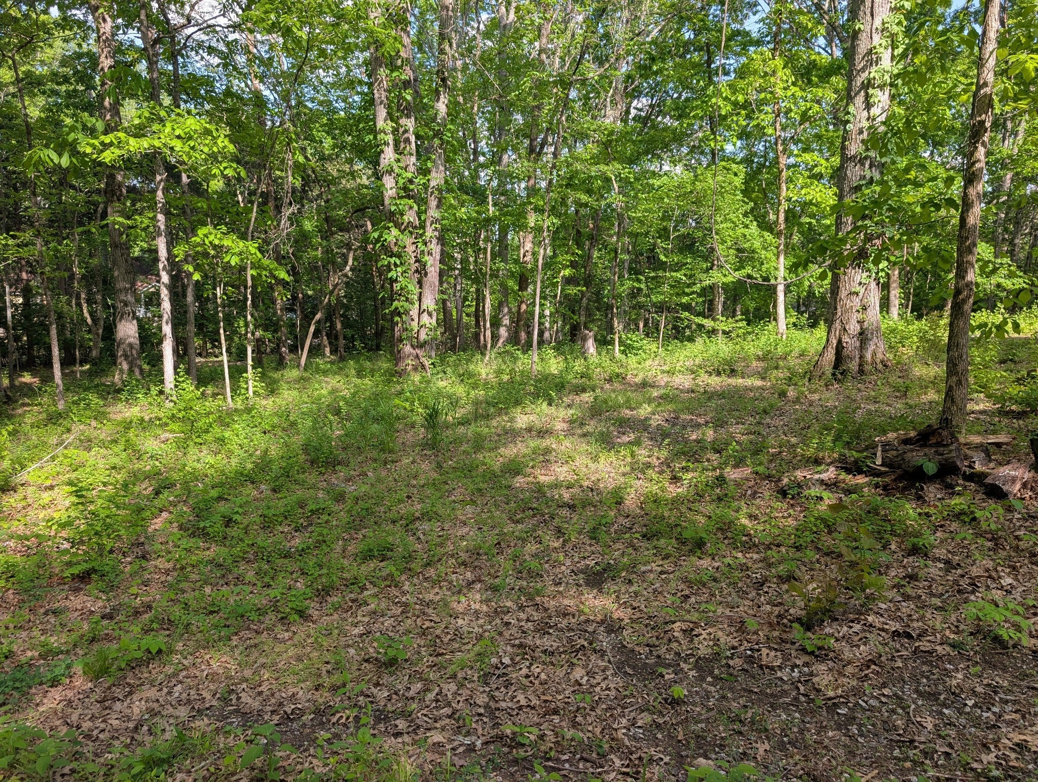 Photo of Listing #2823780