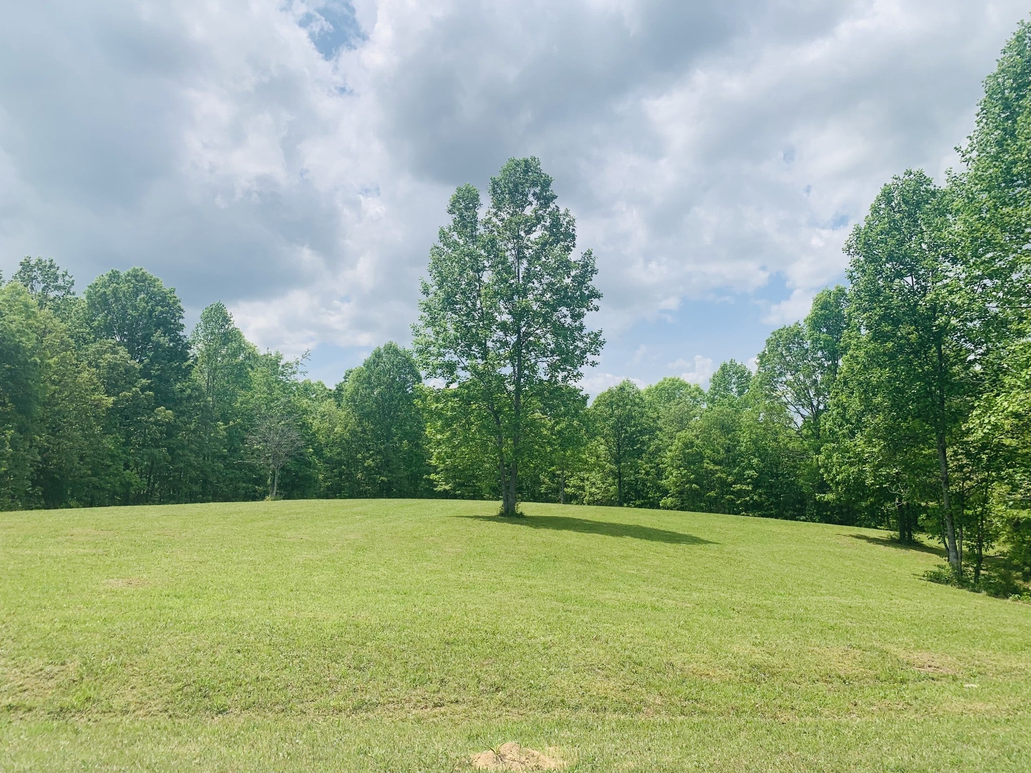 Photo of Listing #2824290