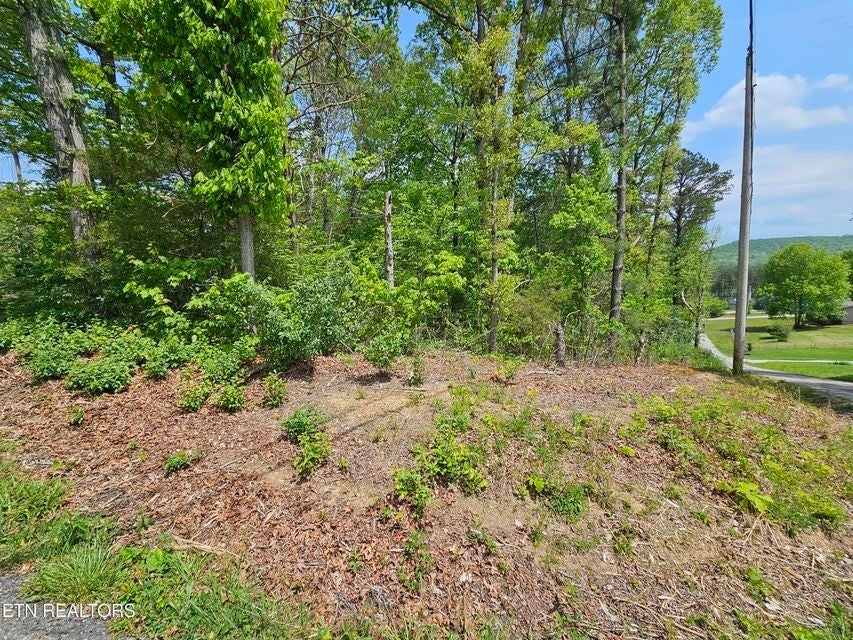 Photo of Listing #2824601