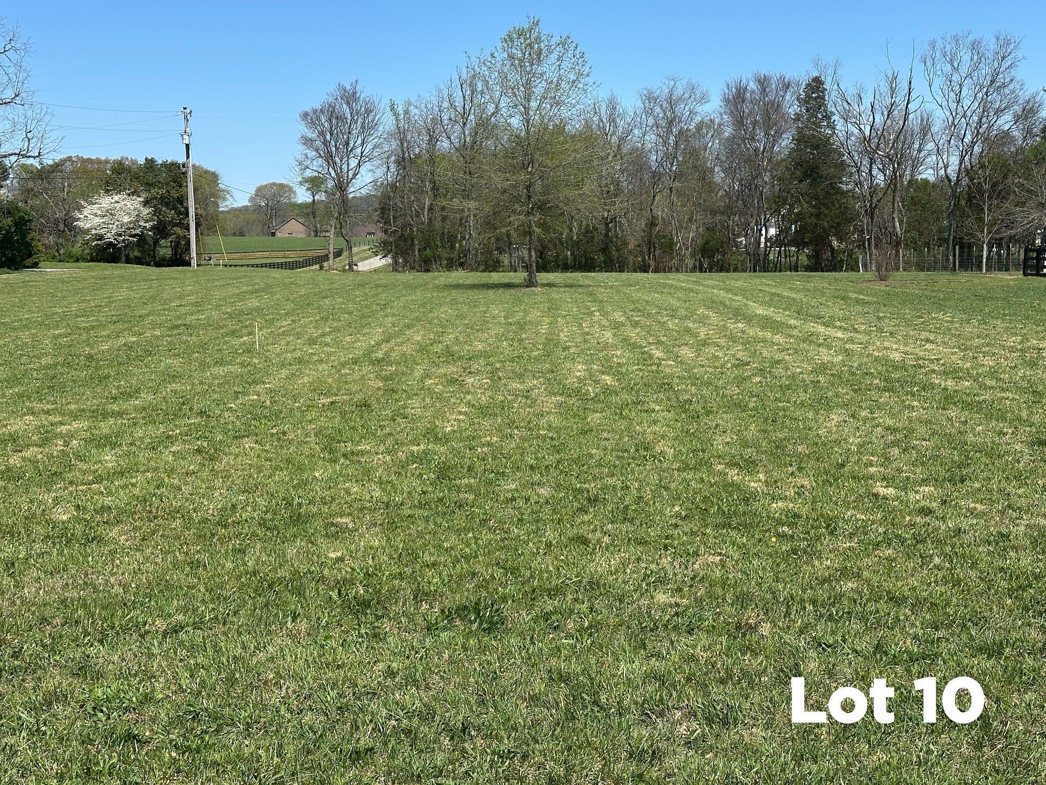 Photo of Listing #2824677