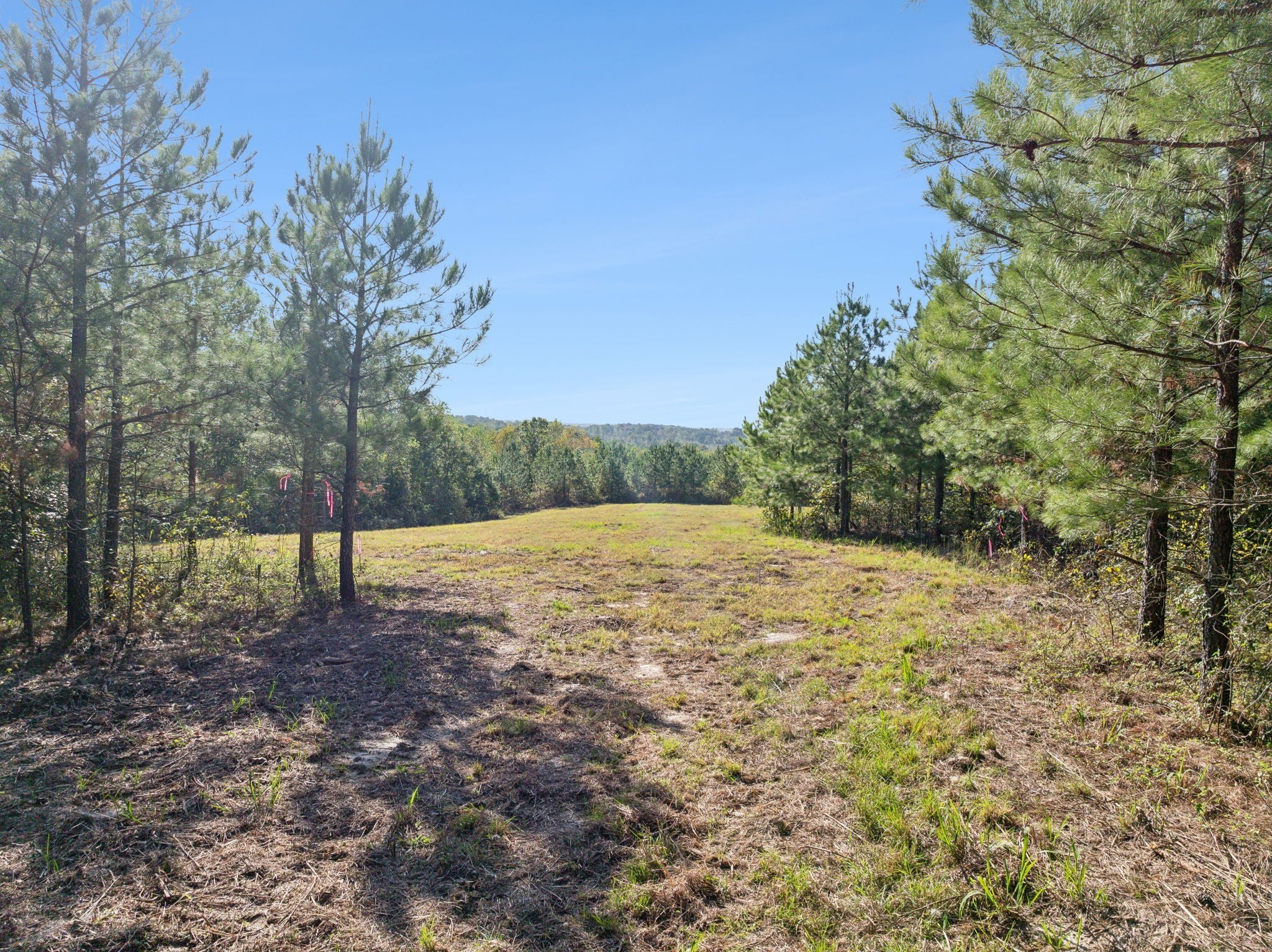 Photo of Listing #2824702