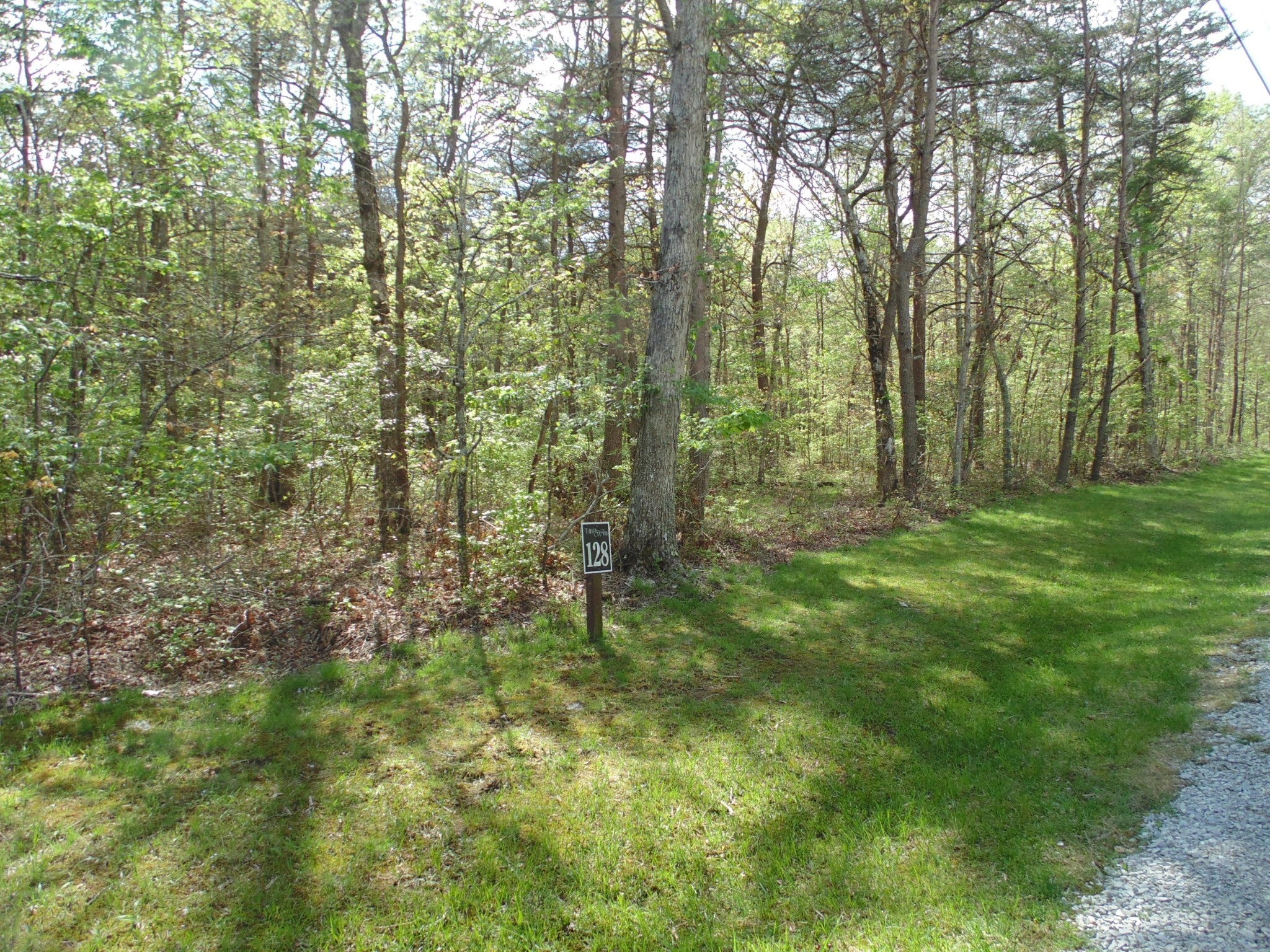 Photo of Listing #2824743