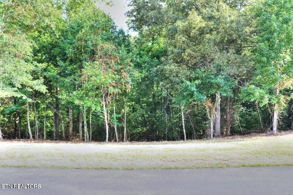 Photo of Listing #2830809