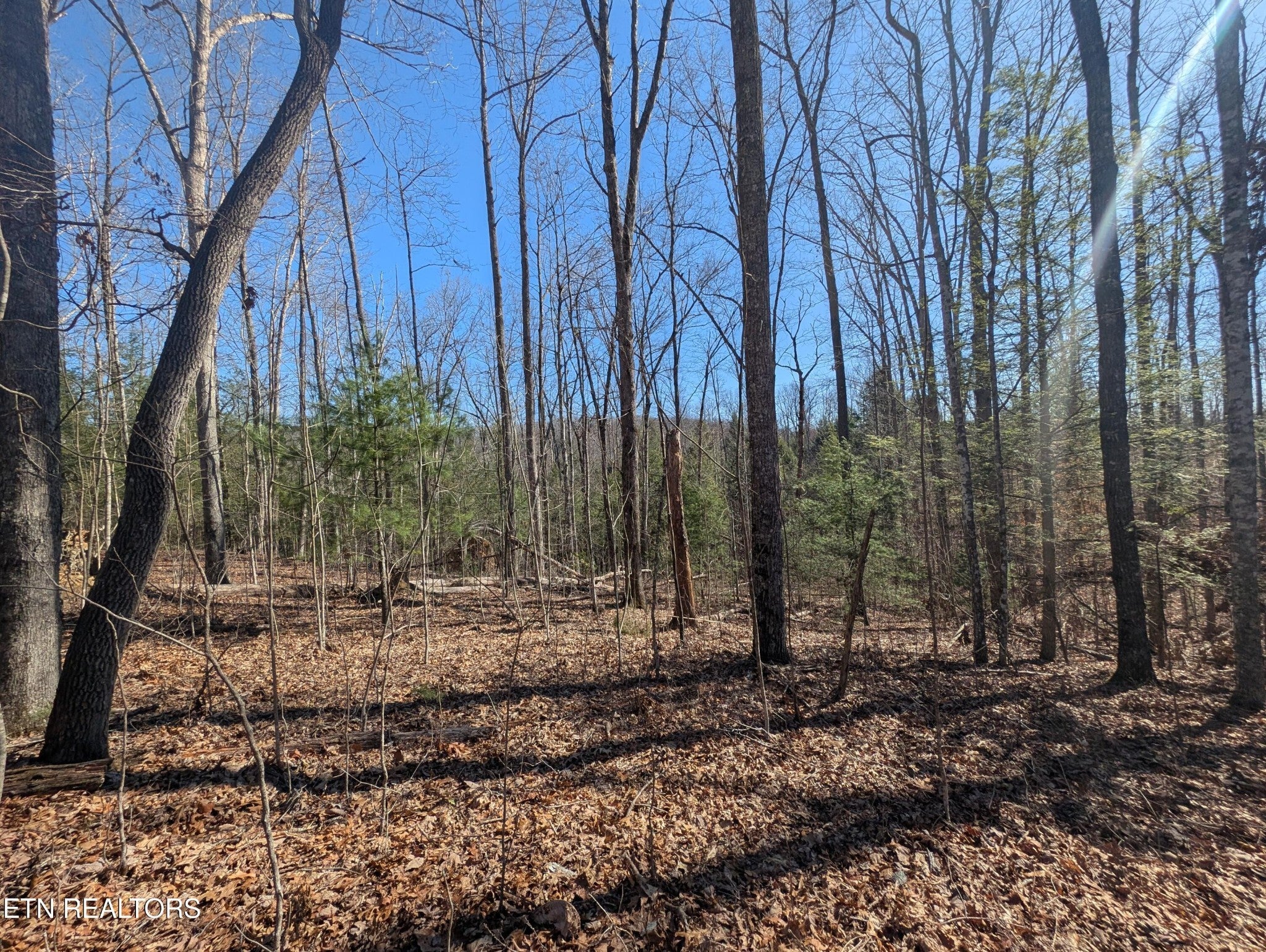 Photo of Listing #2864972
