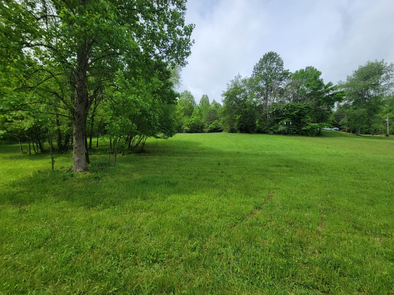 Photo of Listing #2865196