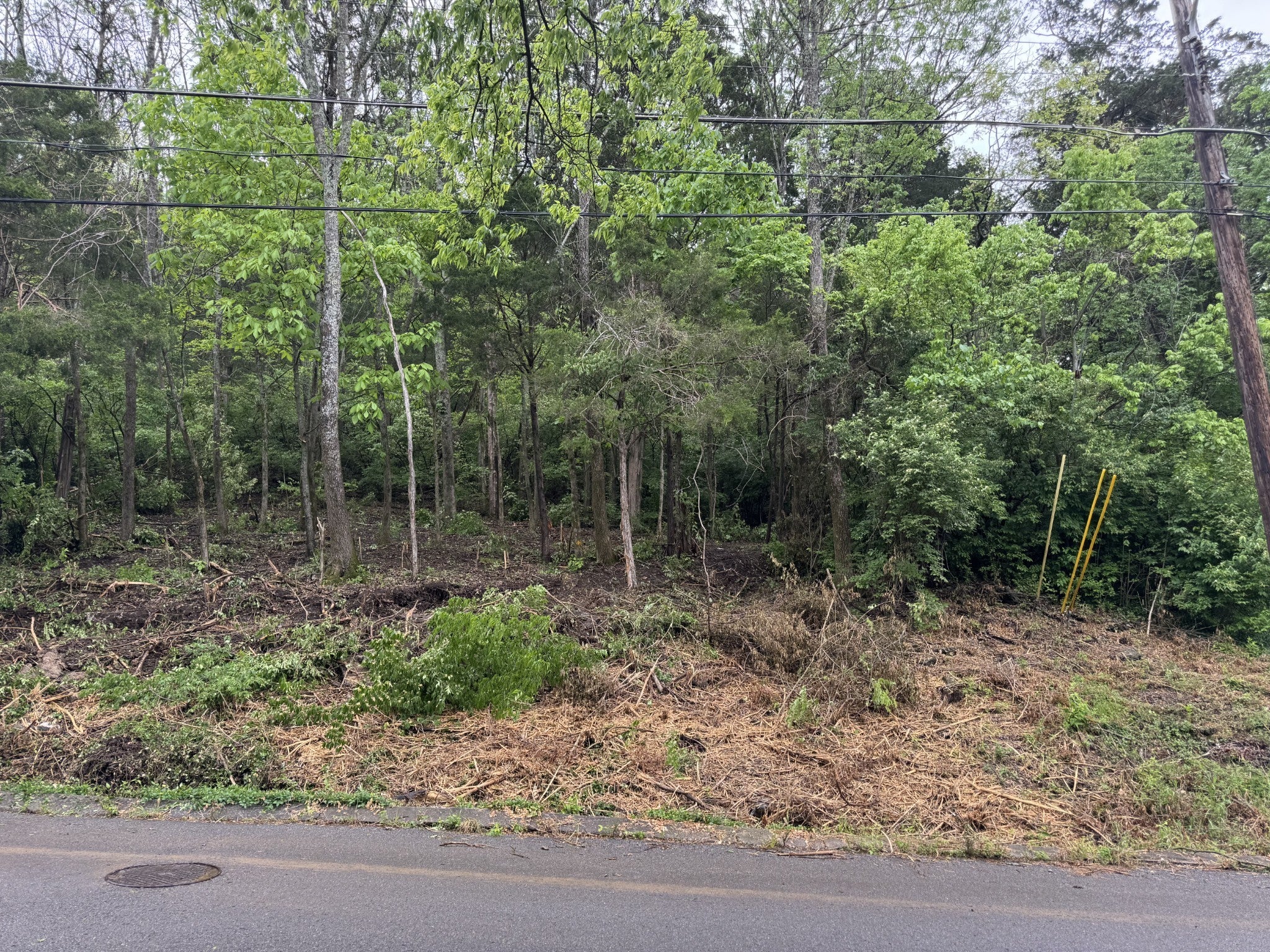 Photo of Listing #2865783