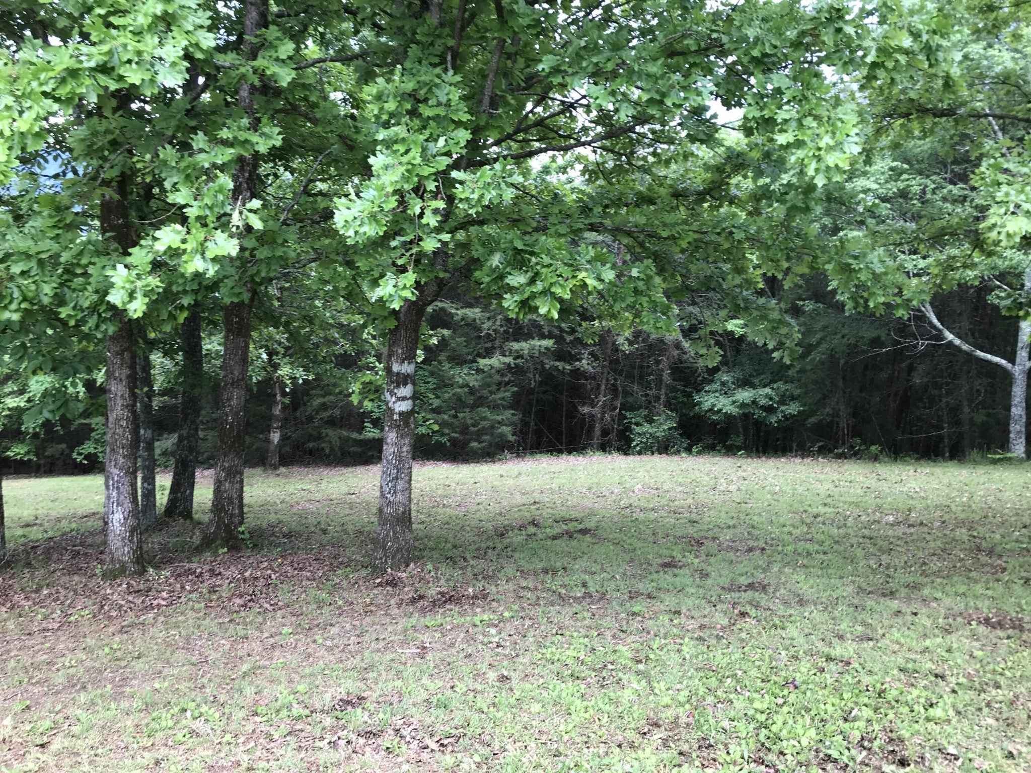 Photo of Listing #2867014