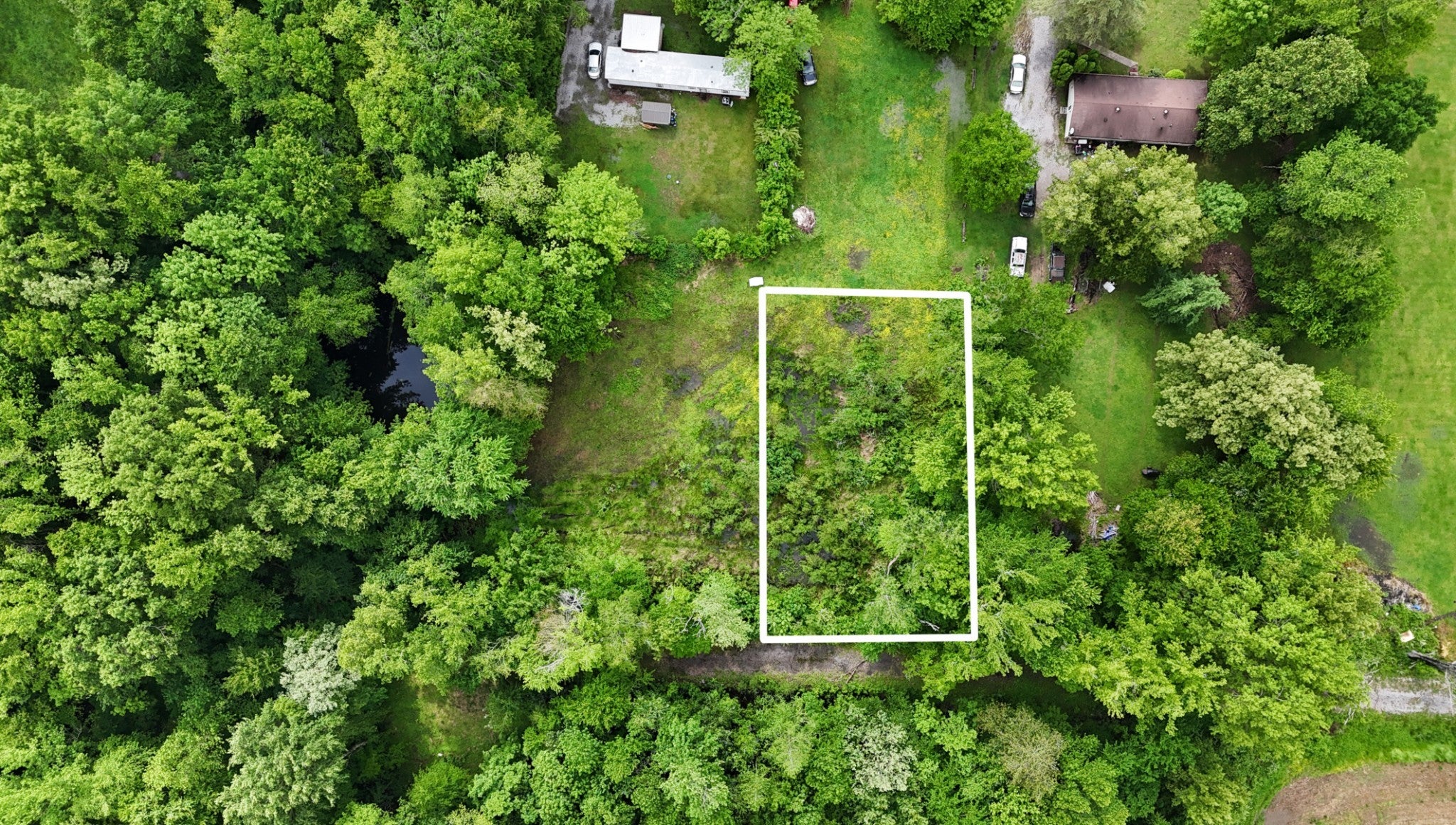 Photo of Listing #2868194