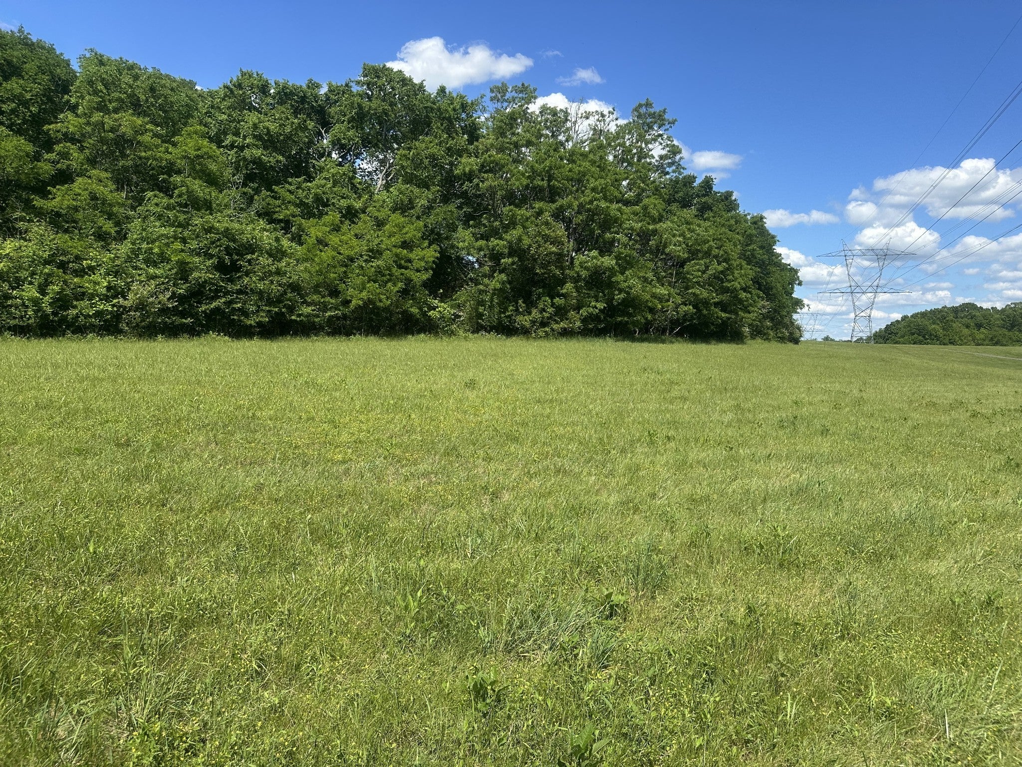 Photo of Listing #2871777