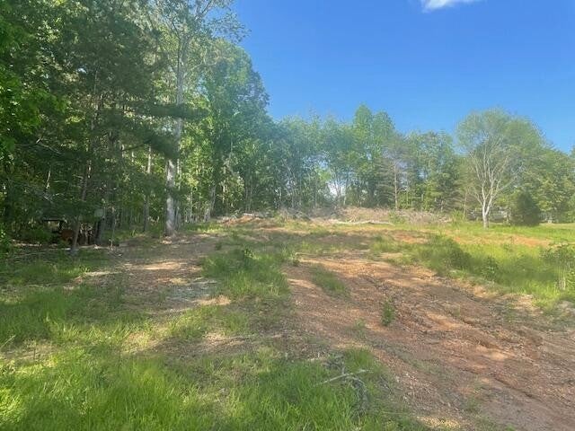 Photo of Listing #2871950