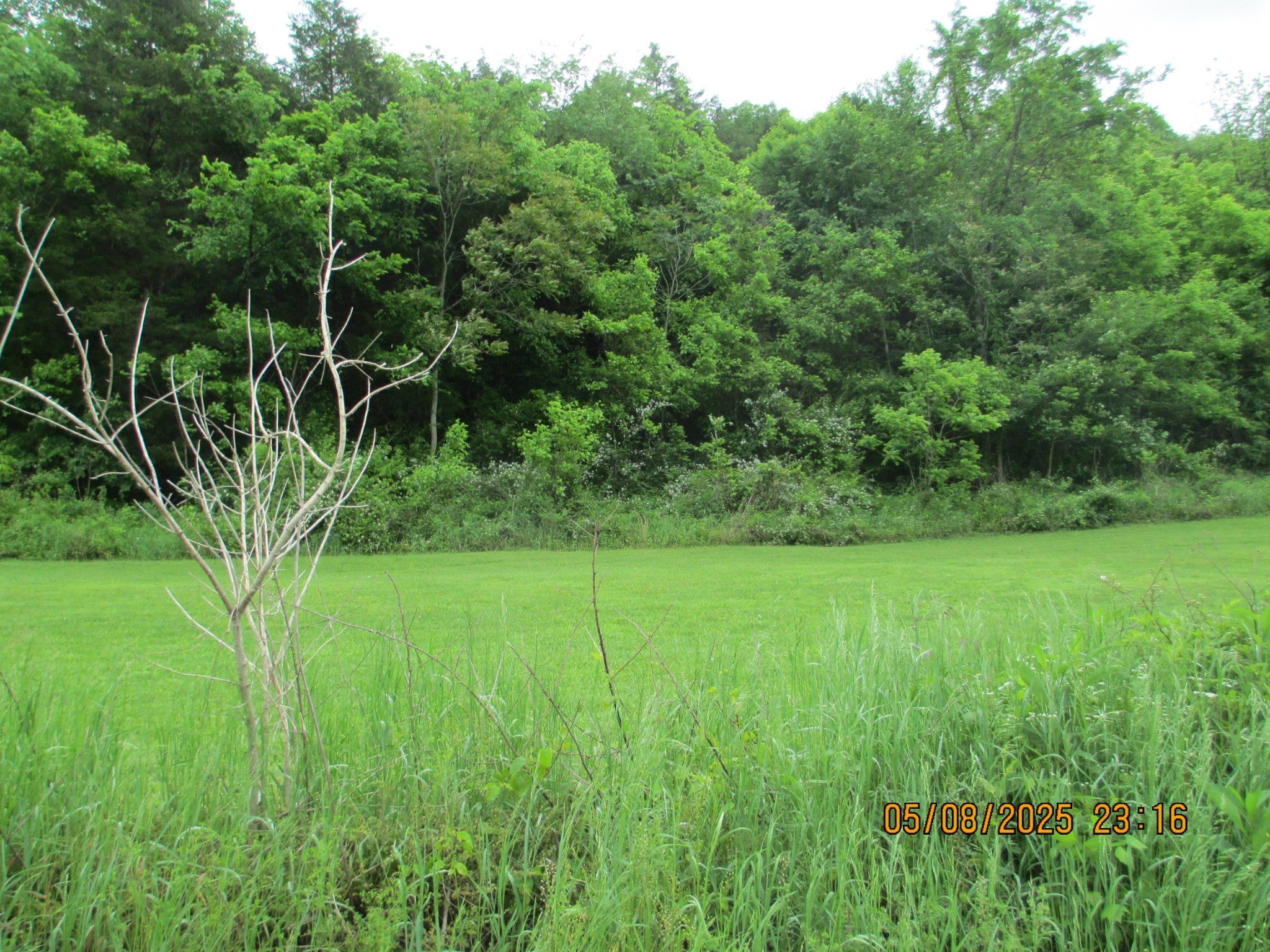 Photo of Listing #2882167