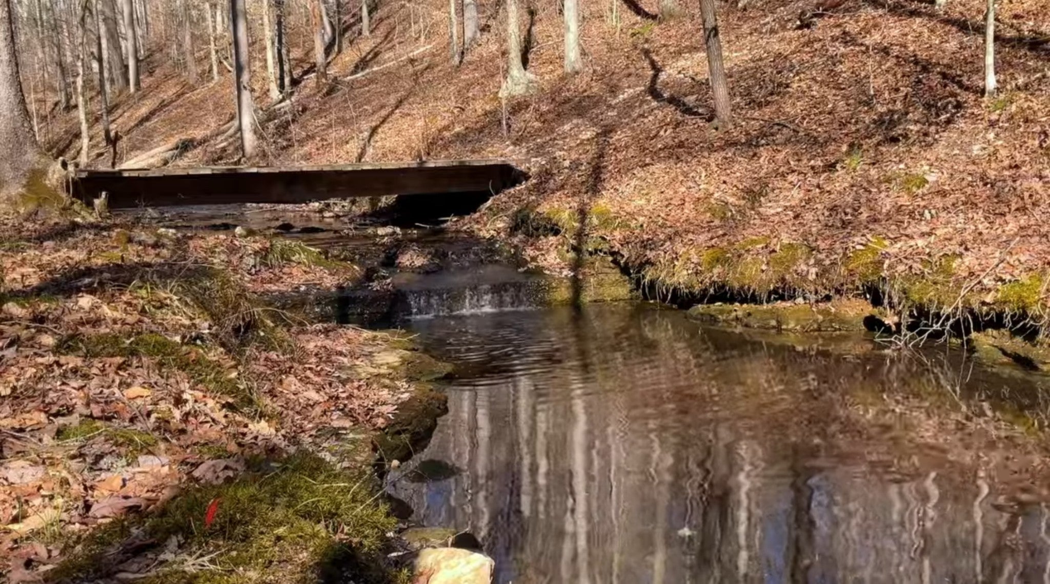 Photo of Listing #2882210