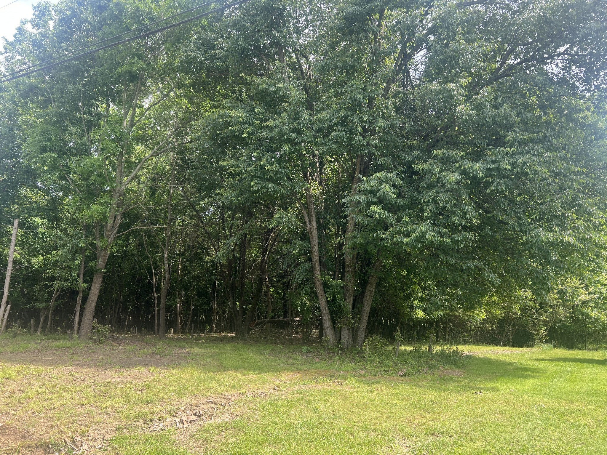 Photo of Listing #2882675