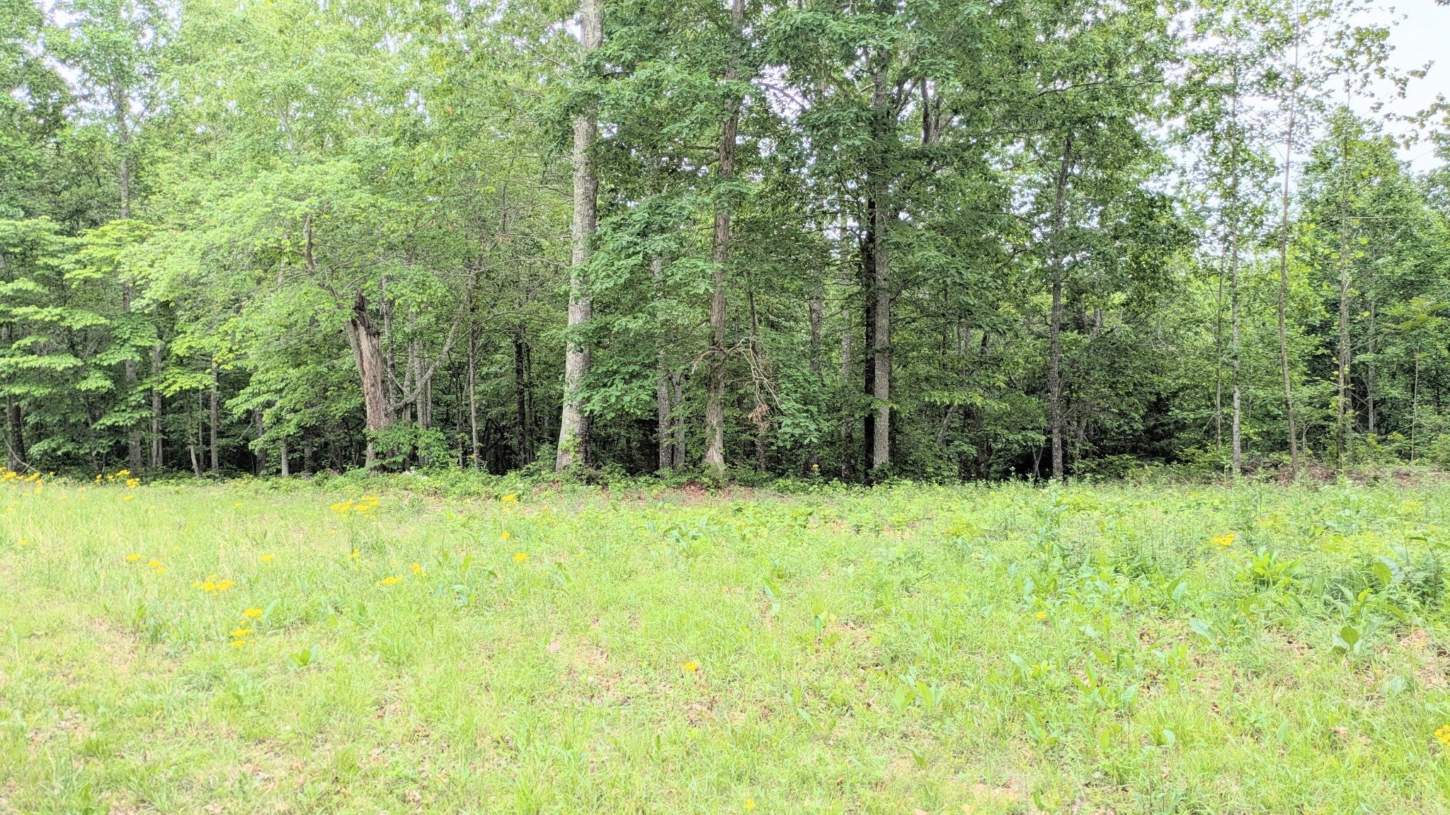 Photo of Listing #2882754