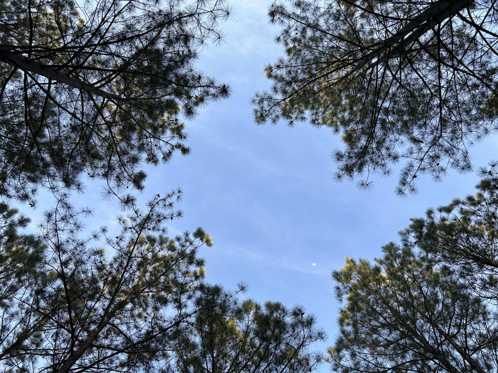 362 Cumberland Circle, Jasper