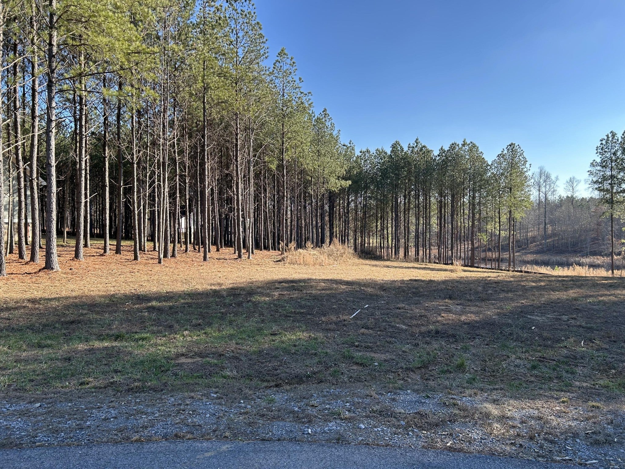 Photo of Listing #2883046