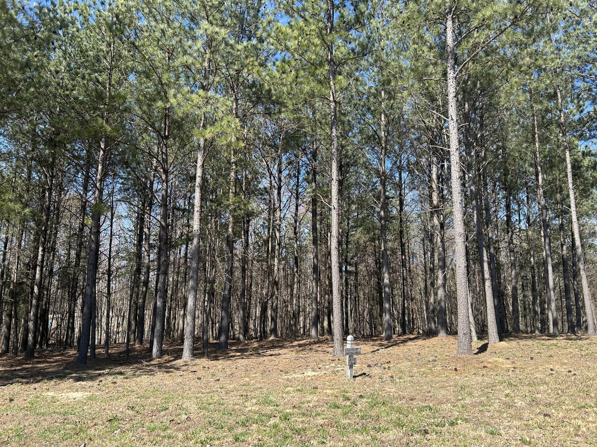 Photo of Listing #2883052