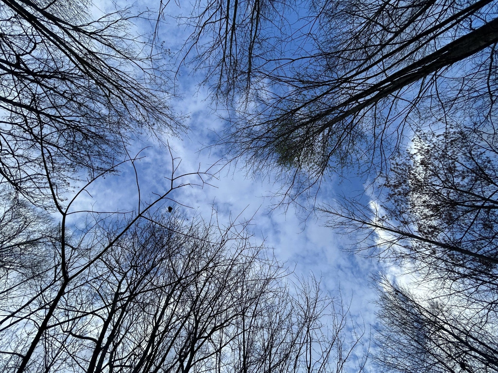 Photo of Listing #2883053