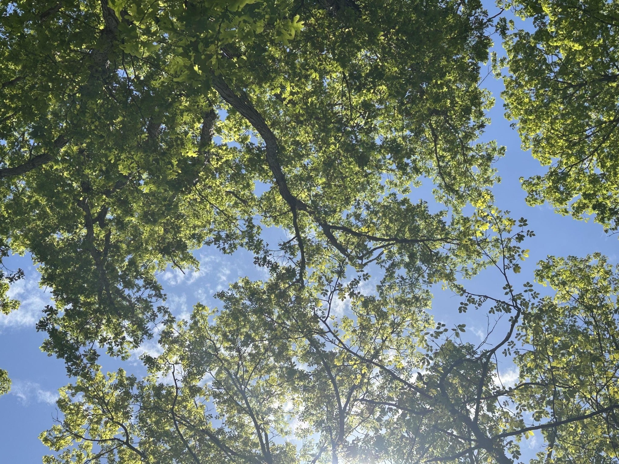 Photo of Listing #2883057