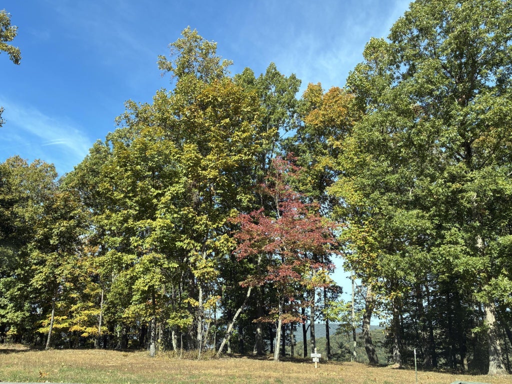 460 Volunteer Street, Jasper