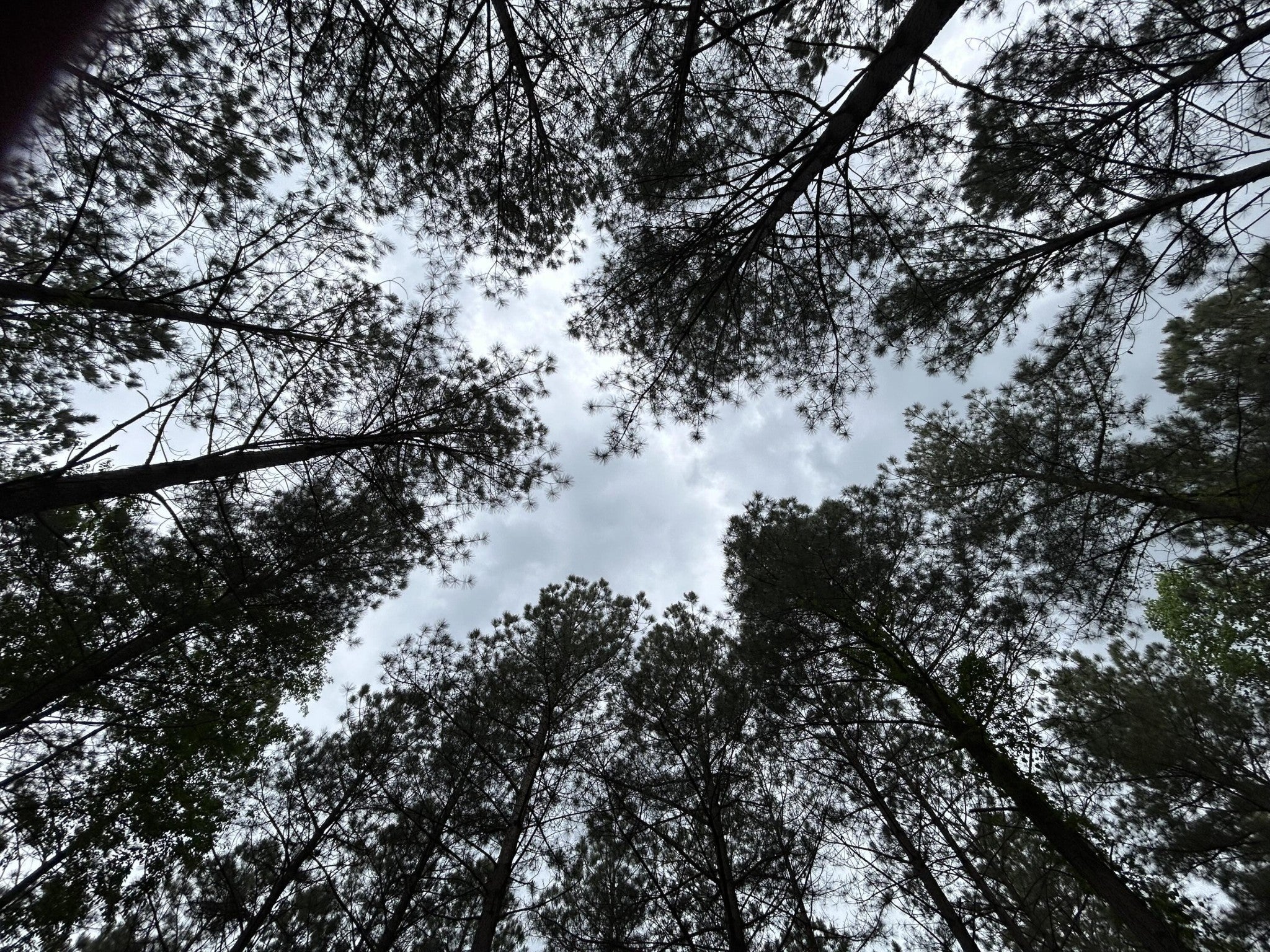 Photo of Listing #2883059