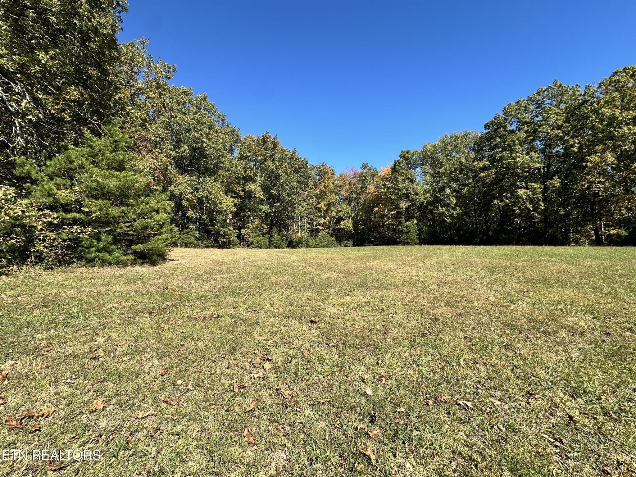 Photo of Listing #2883713