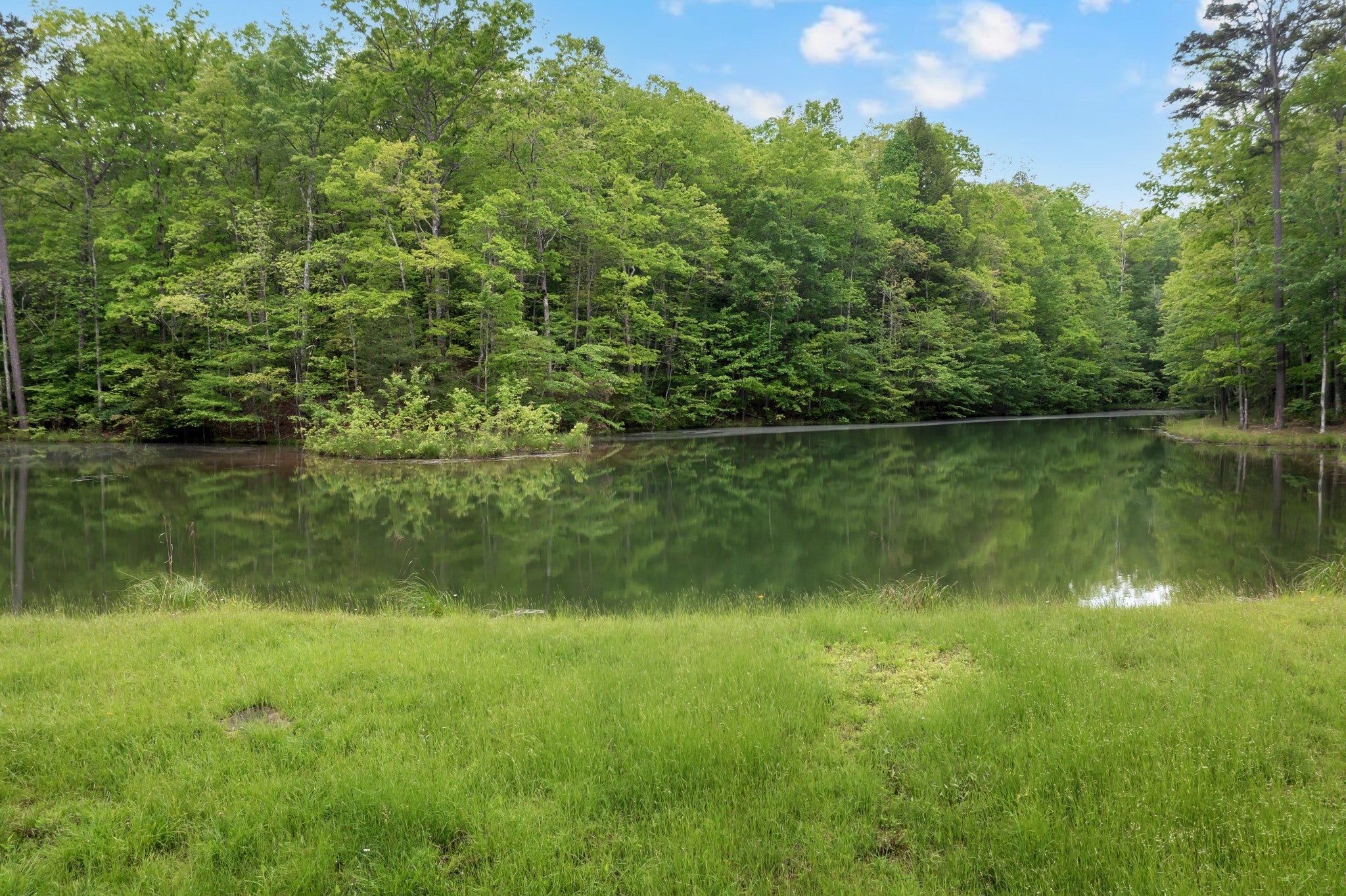 Photo of Listing #2883867