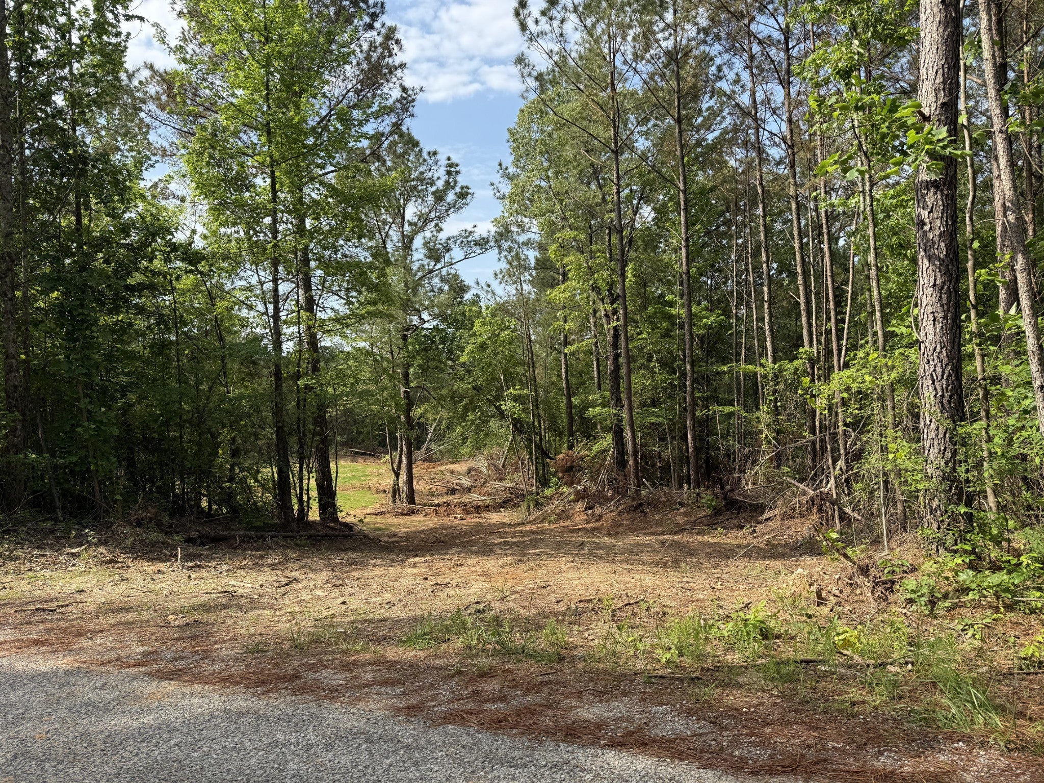 Photo of Listing #2884218
