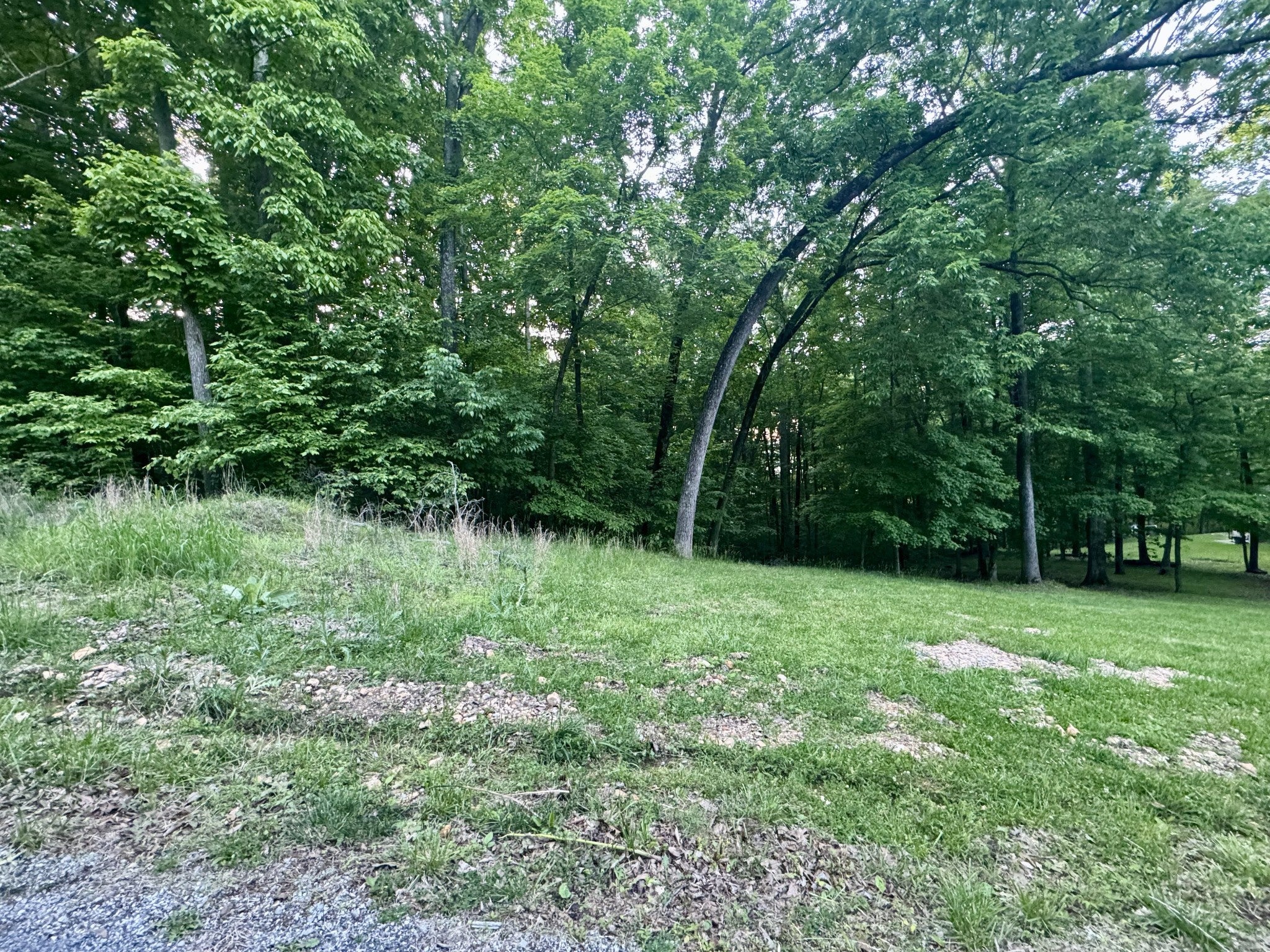 Photo of Listing #2885192