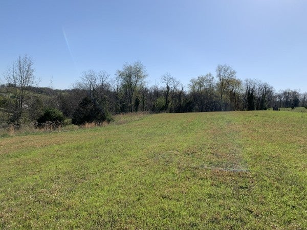 Photo of Listing #2885238
