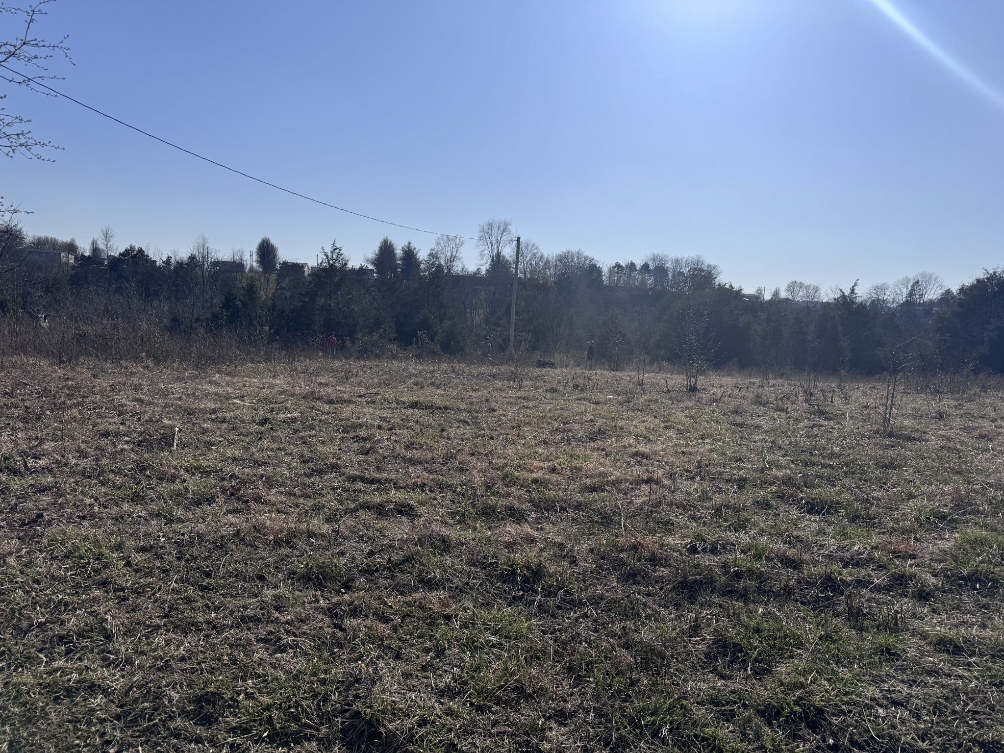 Photo of Listing #2885503