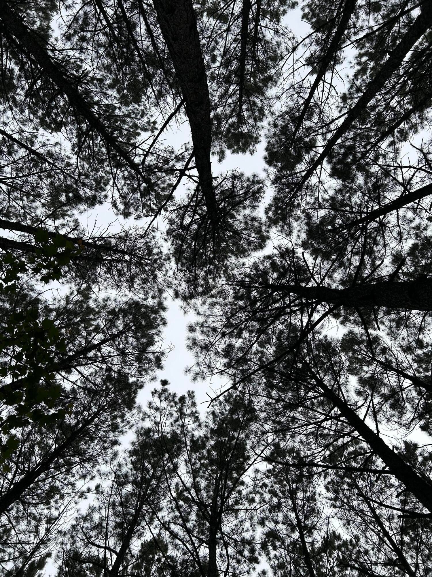 Photo of Listing #2887605