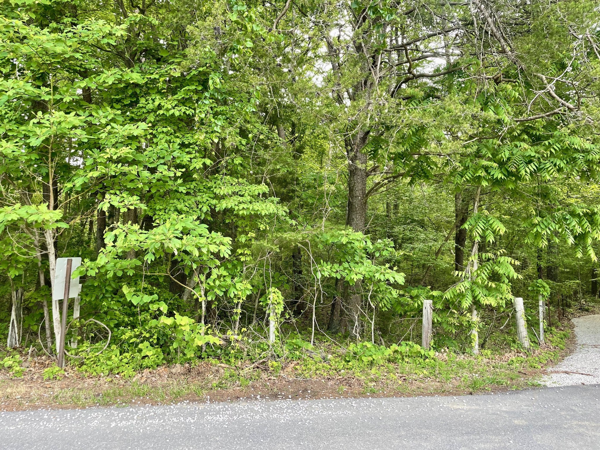 Photo of Listing #2888346