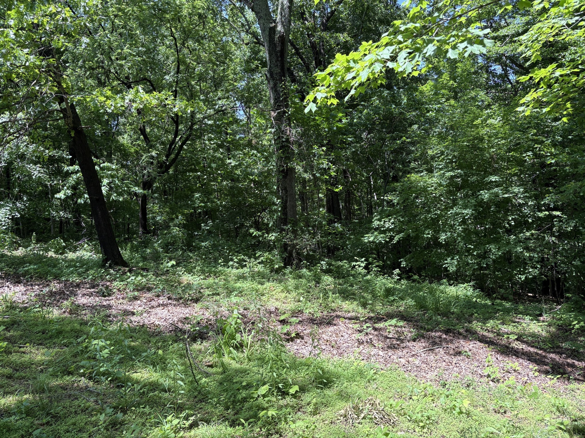 Photo of Listing #2888552
