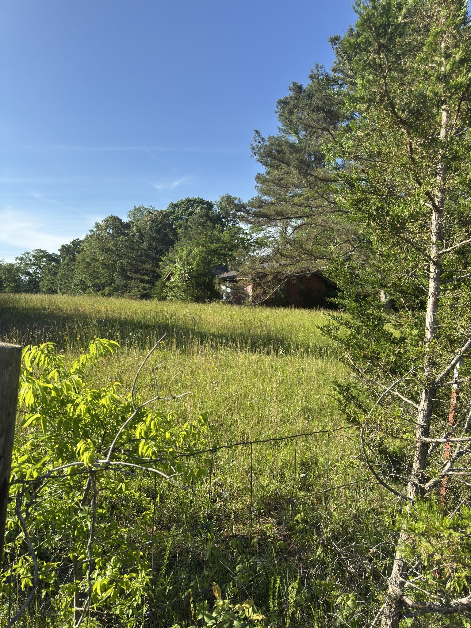 Photo of Listing #2889455