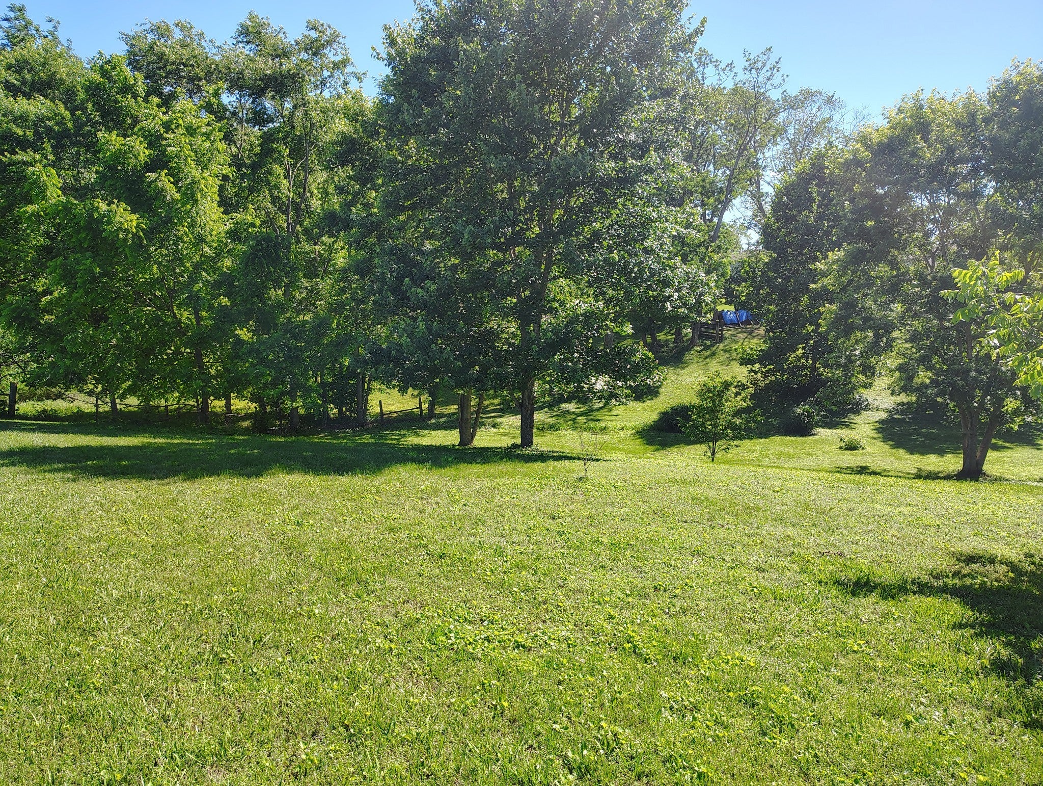 Photo of Listing #2889648